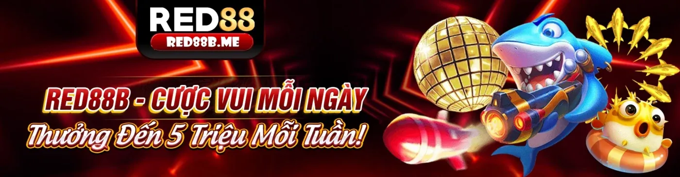 Nghiên cứu kỹ lưỡng trước khi đặt cược